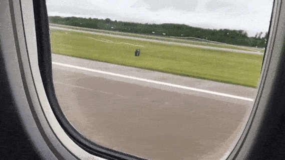 L'image est un GIF montrant la fenêtre d'un avion sur le point de décoller avec une vue sur la piste d'atterrissage.