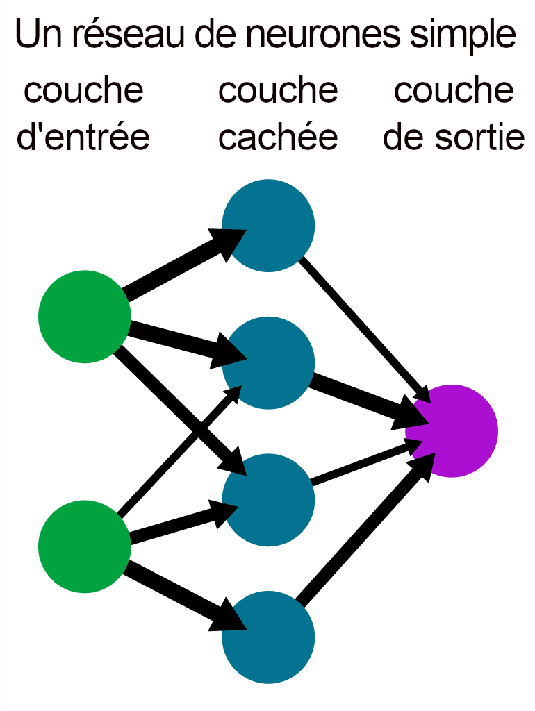 L'image montre un diagramme simplifié d'un réseau neuronal artificiel. En haut, le texte 'Un réseau neuronal simple' est suivi des étiquettes 'couche d'entrée', 'couche cachée' et 'couche de sortie', qui indiquent les trois couches typiques d'un réseau neuronal. Trois cercles verts représentent les neurones de la couche d'entrée, quatre cercles bleus ceux de la couche cachée et un cercle rose aux bords déchiquetés simulant un neurone d'activation dans la couche de sortie. Des flèches bleues partent des neurones de la couche d'entrée vers les neurones de la couche cachée et de la couche cachée vers le neurone de sortie, suggérant comment l'information est transmise à travers le réseau.