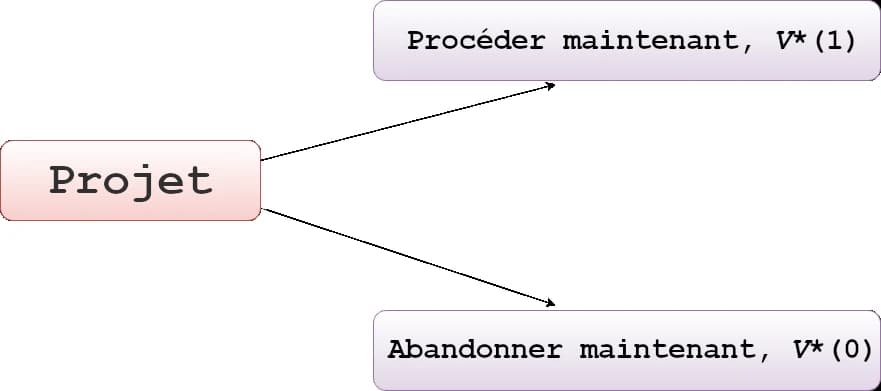 L'image montre un diagramme de décision avec un rectangle intitulé « Projet » et deux options de sortie : « Continuer maintenant » et « Abandonner maintenant », chacune dans un rectangle et reliée au « Projet » par des flèches.