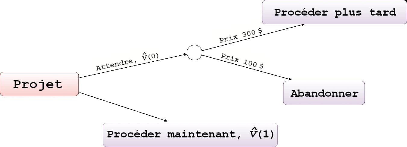 L'image montre un diagramme de décision pour un « Projet » avec deux options : « Attendre » et « Continuer maintenant ». Si l'on attend, les options « Continuer plus tard » ou « Abandonner » sont présentées.