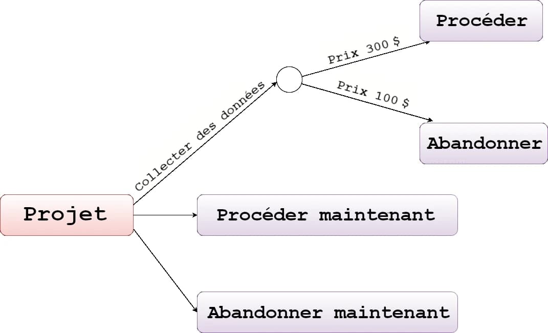L'image montre un diagramme décisionnel dans lequel un « Projet » comporte trois options : « Continuer maintenant », « Abandonner maintenant » et « Collecter des données », avec des sous-options.