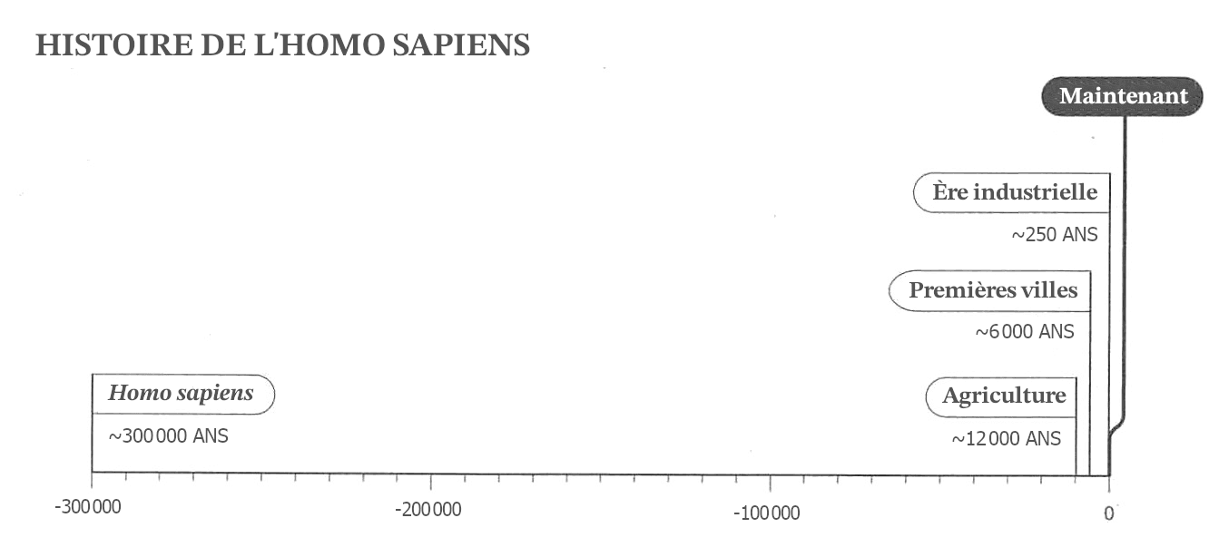 L'image montre un graphique chronologique linéaire qui représente « L'histoire de l'Homo sapiens », en commençant il y a 300 000 ans avec l'apparition de l'« Homo sapiens » et en marquant les développements importants comme l'apparition de l'agriculture, -12 000 ans, les premières villes, -6000 ans et l'ère industrielle, -250 ans, pour finir aujourd'hui, marqué par « Maintenant ».
