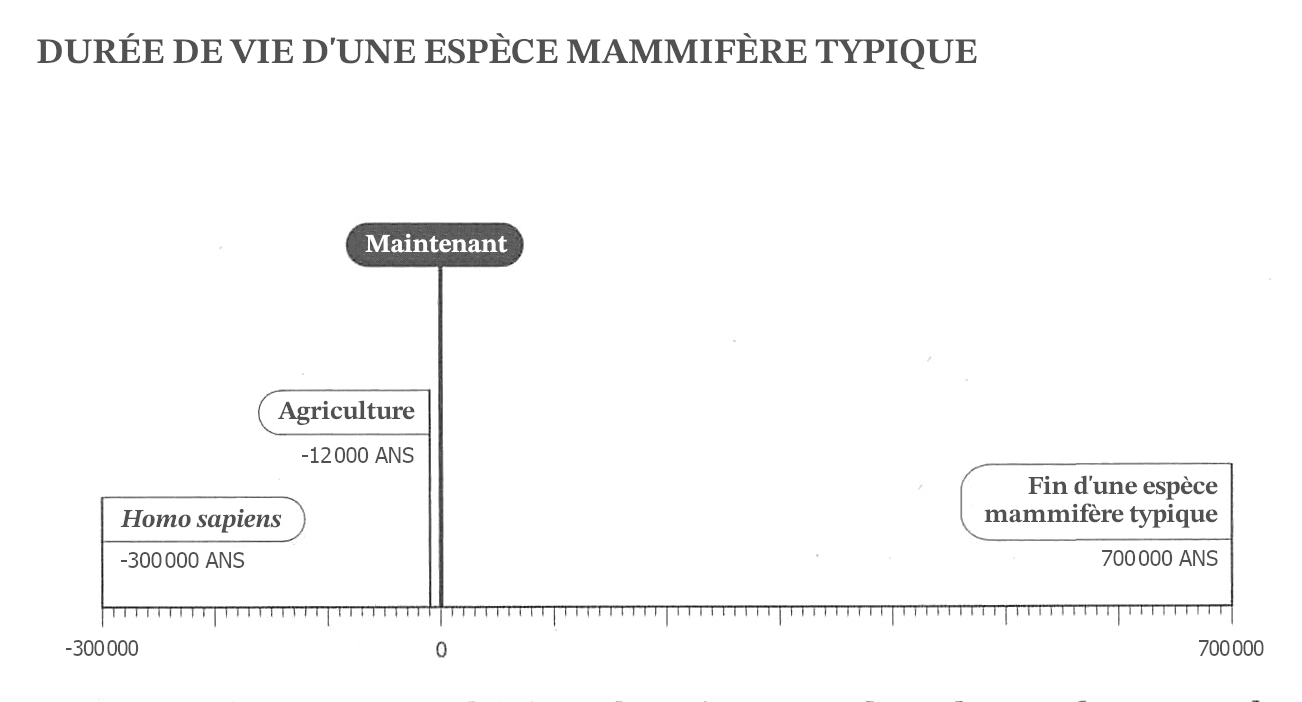 L'image montre un graphique chronologique intitulé « DURÉE DE VIE D'UNE ESPÈCE MAMMIFÈRE TYPIQUE », avec des rectangles qui marquent le début de l'Homo sapiens il y a environ 300 000 ans, le début de l'agriculture il y a 12 000 ans, et le « présent » à côté du texte « Fin d'une espèce mammifère typique » à 700 000 ans.