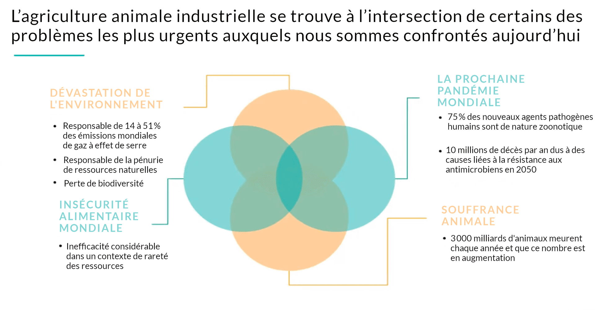 L'image est une infographie qui traite de l'impact de l'agriculture animale industrielle. En haut, une légende indique : « L’agriculture animale industrielle se trouve à l’intersection de certains des problèmes les plus urgents auxquels nous sommes confrontés aujourd’hui ». À gauche, à droite et en bas du graphique se trouvent trois catégories avec leurs problèmes respectifs liés à l'agriculture animale industrielle : 1. « Dévastation de l'environnement » : L'agriculture animale industrielle est mentionnée comme étant responsable de 14 à 51 % des émissions mondiales de gaz à effet de serre, de l'utilisation des terres, de l'utilisation de l'eau, du ruissellement des nutriments et de la perte de biodiversité. 2. « Insécurité alimentaire mondiale » : C'est-à-dire, une inefficacité considérable dans un contexte de rareté des ressources. 3. « Souffrance animale » : Il est souligné que 3 000 milliards d'animaux meurent chaque année et que ce nombre est en augmentation. Au centre du graphique se trouve un ensemble de trois cercles imbriqués (diagramme de Venn) symbolisant le lien entre ces trois domaines de préoccupation. À l'extrême droite du graphique, la question de « La prochaine pandémie mondiale » est également abordée, indiquant que 75 % des nouveaux agents pathogènes humains sont d'origine zoonotique et que 10 millions de décès annuels dus à la résistance aux antimicrobiens sont prévus d'ici 2050.