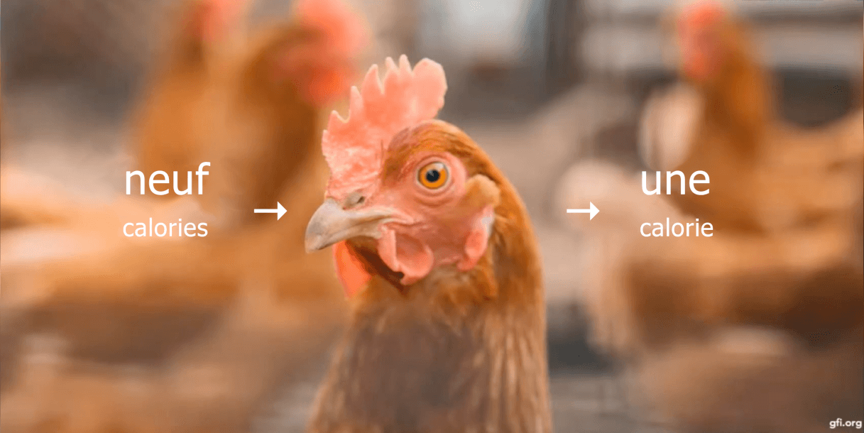 L'image montre un gros plan d'un poulet. Il y a deux flèches qui pointent vers le poulet avec le texte « neuf calories » et « une calorie ».