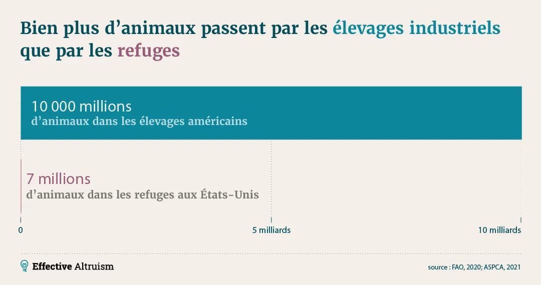 La légende de l'image indique : “Beaucoup plus d'animaux passent par les élevages industriels que par les refuges pour animaux de compagnie”, et montre un diagramme à barres avec deux chiffres : “10 000 millions d'animaux dans les fermes américaines” et “7 millions d'animaux dans les refuges américains”, soulignant l'énorme disparité entre les deux chiffres.
